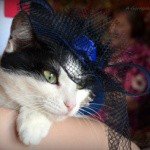 Profile Picture of Irby (@irbyjoeann816) on Instagram
