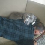 Profile Picture of Nathan Riedell (@natha4061) on Instagram