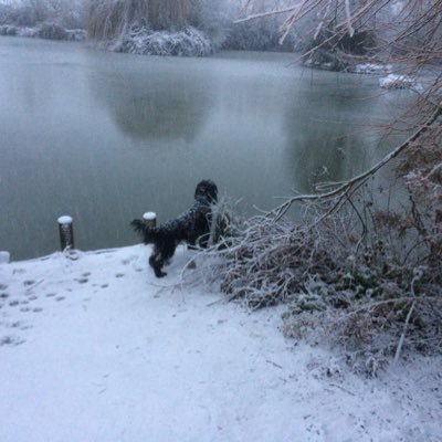 Profile Picture of Mark Shute (@MarkShute5) on Twitter