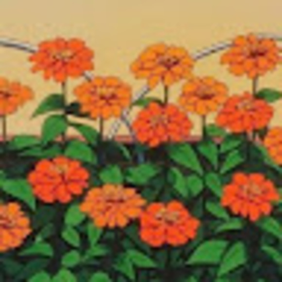 Lana Tancred - Poshmark Profile Picture of Lana Tancred (@lanarosalea) on Poshmark