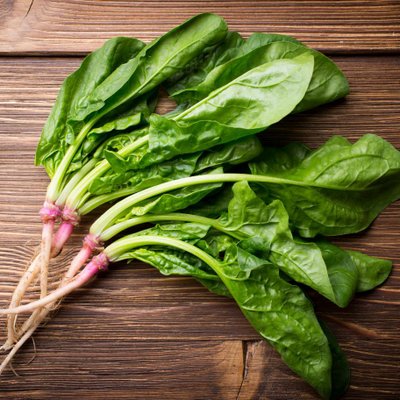 David Avalo - Twitter Profile Picture of David Avalo (@fuelvitality) on Twitter