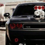 Profile Picture of Michael Broccolato (@michael_broccolato) on Instagram