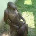 Profile Picture of Paula Pickens (@paula.pickens.58) on Facebook