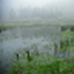 Profile Picture of Derek Chen (@ckc216) on Flickr