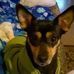 Profile Picture of Terry Shutt (@terry.shutt.90) on Facebook