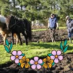 Profile Picture of Verner Bruun (@verner.bruun.471857) on Facebook