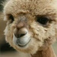 Profile Picture of Henry Orsagh (@henry-orsagh) on Quora
