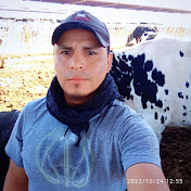 Profile Picture of Angel Borrego (@angelborrego5901) on Youtube