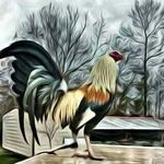 Profile Picture of Fernando Meza Chagoya (@meza4419) on Instagram