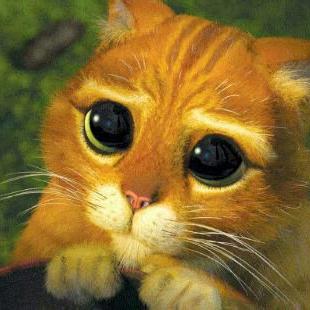 Profile Picture of Dalia Del Carmen Tom (@dalia_tom) on Twitter