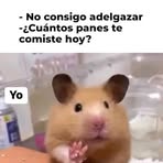 Profile Picture of Willington Jama (@Willington-Jama) on Facebook