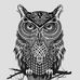 Profile Picture of Alberto Coffee (@alberto.coffee.31) on Facebook