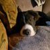 Profile Picture of Scott Julie Goeden (@scott.goeden) on Facebook