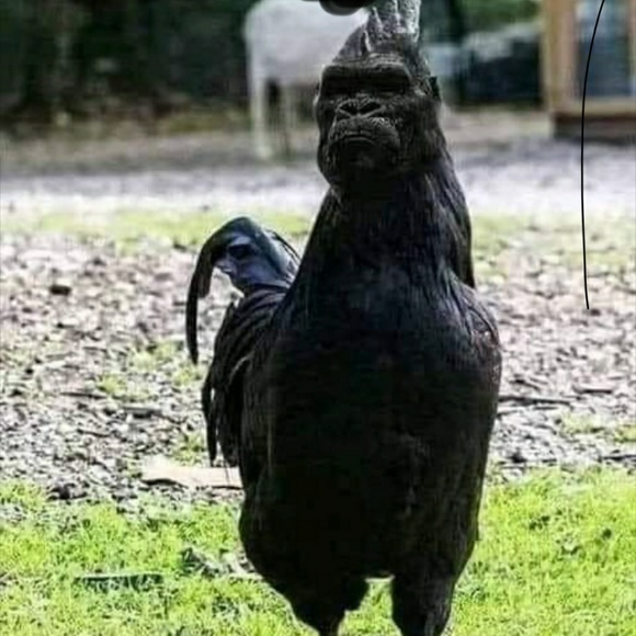 Profile Picture of Tony Herring (@smoothblack9) on Poshmark