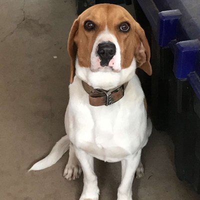 Profile Picture of Micaela Rivera (@Micaela_riv19) on Twitter