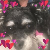 Profile Picture of Pam Paranac (@pam-paranac) on Quora