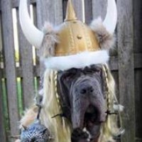 Profile Picture of Miriam A. Howe (@miriam-a-howe) on Quora