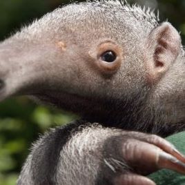 Profile Picture of Patrick Schleck (@patrick.schleck) on Facebook