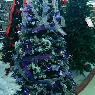 Profile Picture of Tasha (@tasha877isaac) on Twitter