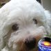 Profile Picture of Jimmy Halim (@jimmy.halim.507) on Facebook