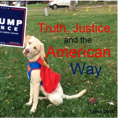 Profile Picture of Tom Dreyer (@TomDreyer2) on Twitter