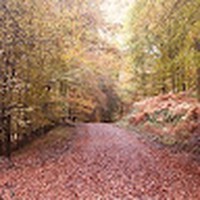 Profile Picture of Tianna Hughes (@tianna-hughes-3) on Quora