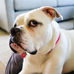 Profile Picture of Brian Posner (@brianposner) on Instagram