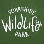 Profile Picture of Joe Lindsay (@Yorkshire Wildlife Park - Joe) on Flickr