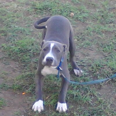 Profile Picture of Jonathan Zamarripa (@JonathanZamarr2) on Twitter