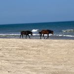 Profile Picture of Amanda Adkins-Chafin (@amandachafin0207) on Instagram