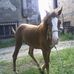Profile Picture of Giuseppe Vignogna (@giuseppe.vignogna.35) on Facebook