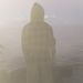 Profile Picture of Joey Capponi (@joeycapponi) on Pinterest
