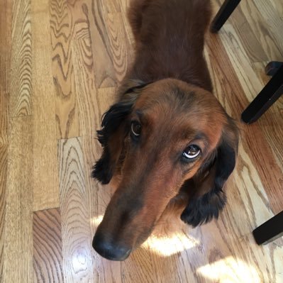 Profile Picture of Jeffrey Hollister (@mxcross1) on Twitter