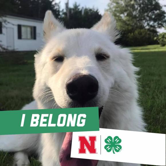 Profile Picture of Sarah Sousek mitchell (@jjm_smm) on Poshmark