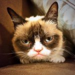 Profile Picture of Robin Price (@robin_price22) on Instagram