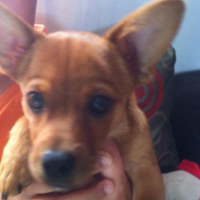 Profile Picture of Dulce Luz Escobedo (@dulceescobedo11) on Twitter