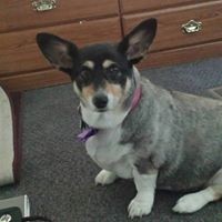 Profile Picture of Miranda Heinrich (@miranda-heinrich-1) on Quora