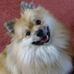 Profile Picture of Paula Hulse (@paula.hulse.562) on Facebook