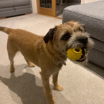 Peter Butterfield - Twitter Profile Picture of Peter Butterfield (@PeterButterfi11) on Twitter