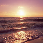 Profile Picture of Bianca Palacios (@biancapalacios1952) on Youtube