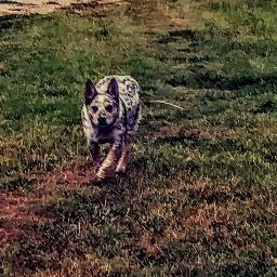 Profile Picture of Shawna Mcvey (@shawnamcvey) on Tiktok