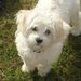 Profile Picture of Bie Vanderbeck (@bie_vanderbeck) on Pinterest