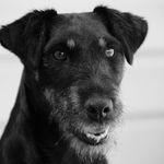 Profile Picture of daniel meunier (@danielmnr64) on Instagram