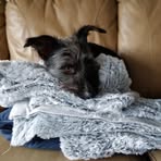 Profile Picture of Ian Power (@ian.power.7543) on Facebook