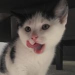 Profile Picture of BILLIE (@billie.vansteenbergen) on Instagram