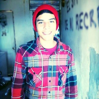 Profile Picture of Fernando Vizcarra (@1Broly) on Twitter