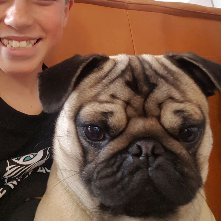 sean.sh.hibbs - Tiktok Profile Picture of sean.sh.hibbs (@sean.sh.hibbs) on Tiktok