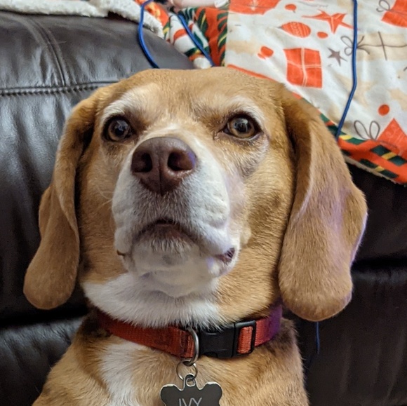 Deborah Ackerman - Poshmark Profile Picture of Deborah Ackerman (@dackerman22) on Poshmark