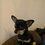 Profile Picture of darren fenton (@darrenfenton59) on Instagram