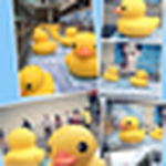 Profile Picture of Ng Chi Ming (@samson ng_cm) on Flickr